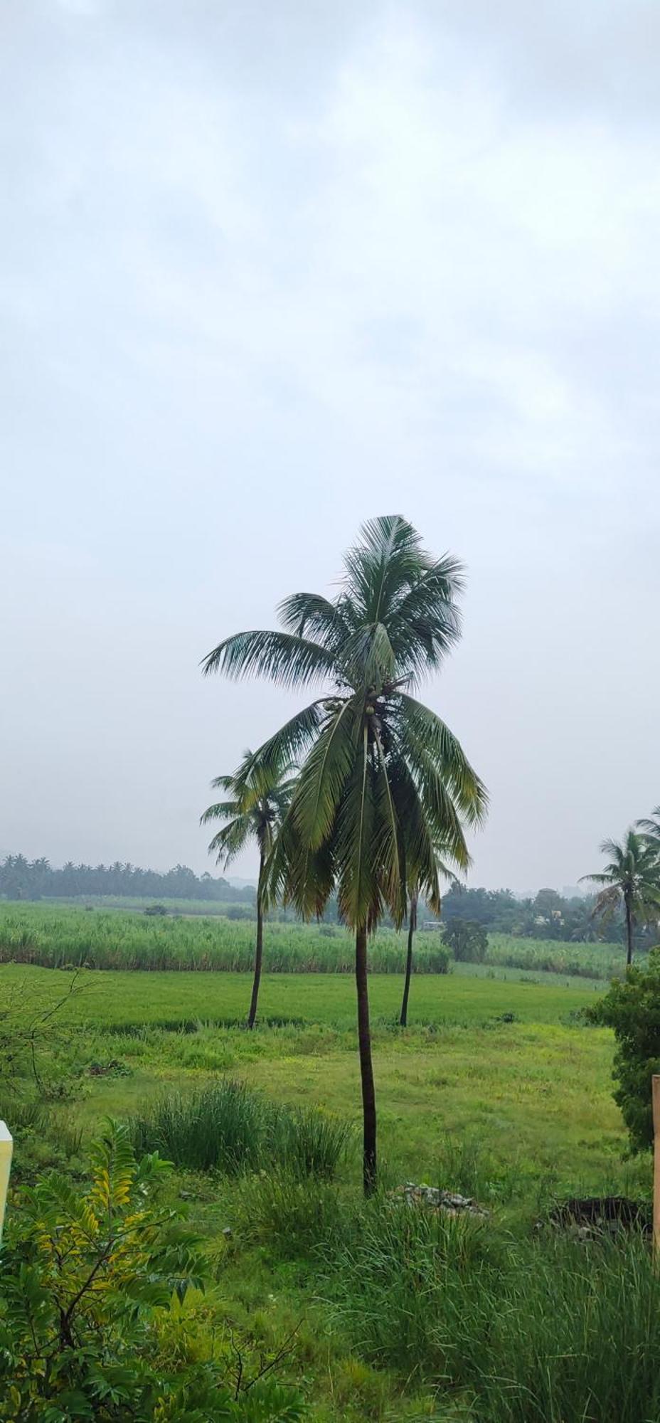 Raj Homestay Hampi Eksteriør billede
